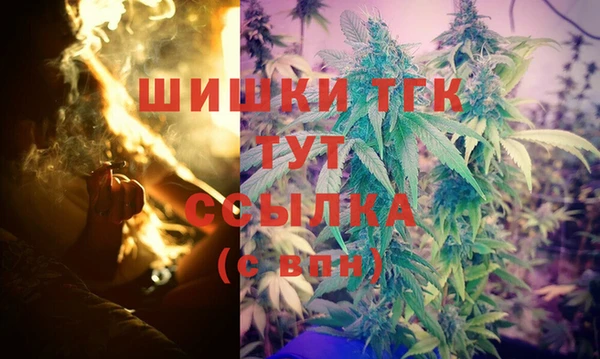 прущий лед Абаза