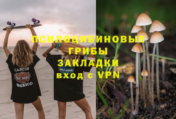 тгк Осинники