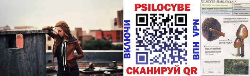 Псилоцибиновые грибы Cubensis  Дмитровск 